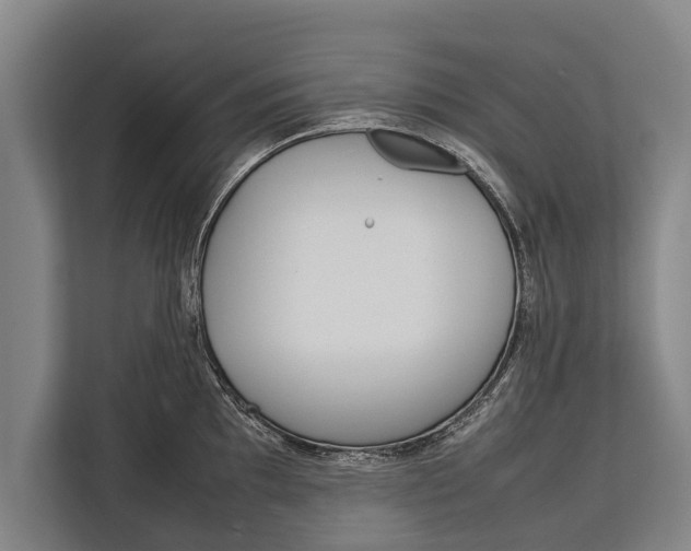 X0000113031097200909171456