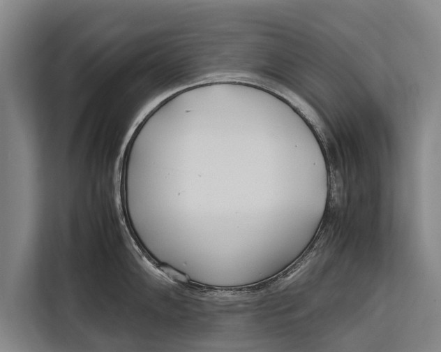 X0000113031102200909171456