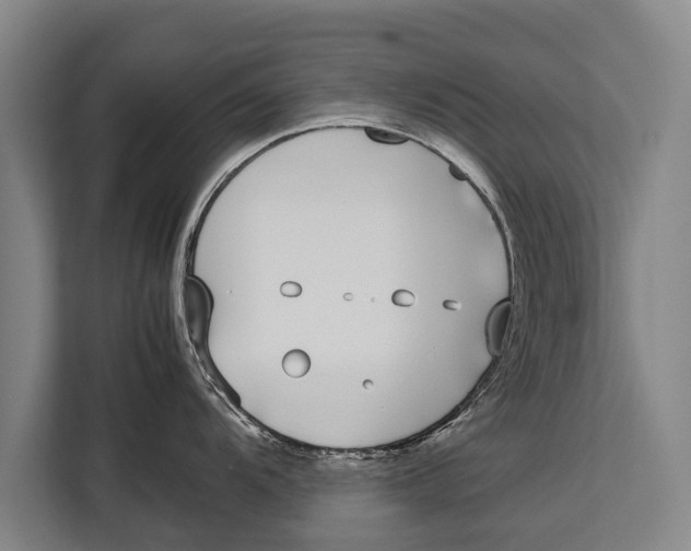 X0000113031104200909171456