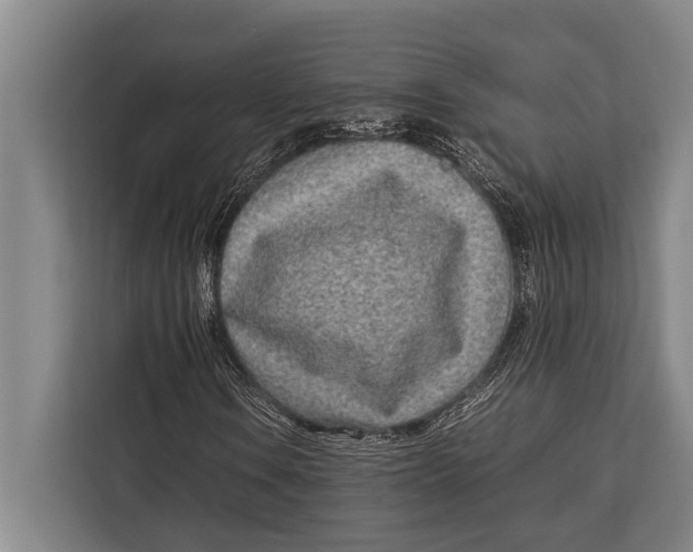 X0000113031106200909171455