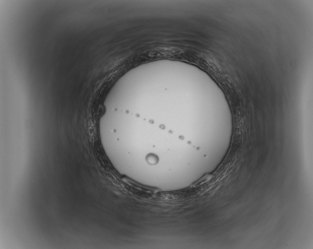 X0000113031109200909171455