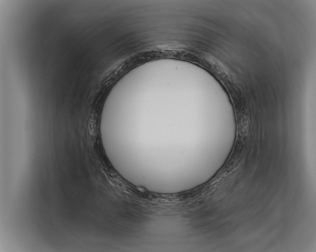 X0000113031110200909171455