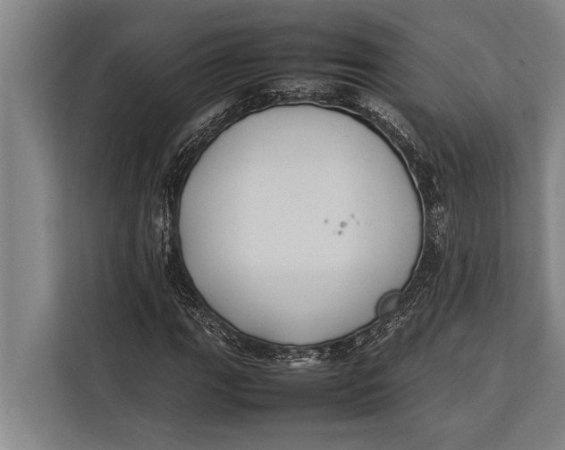 X0000113031111200909171455