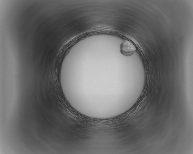 X0000113031112200909171455