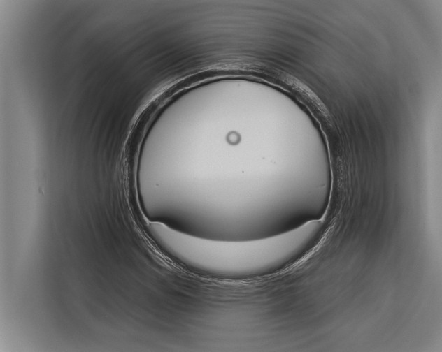 X0000113031114200909171455