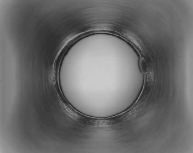 X0000113031116200909171455