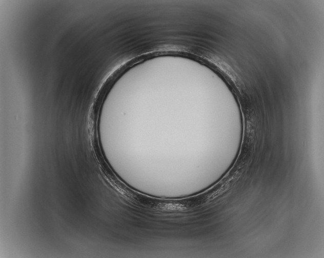 X0000113031119200909171455