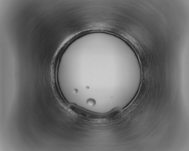 X0000113031120200909171455