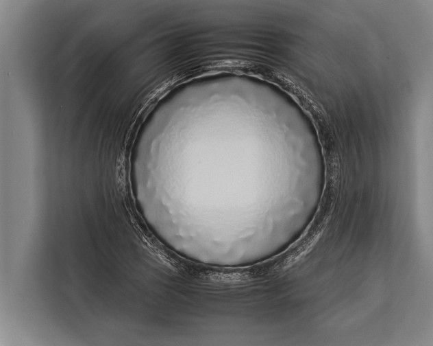 X0000113031121200909171455