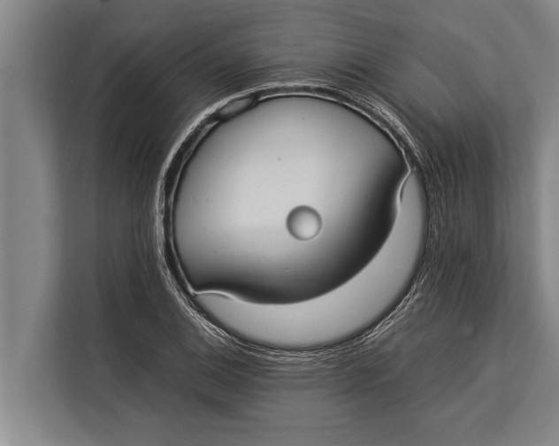 X0000113031124200909171455