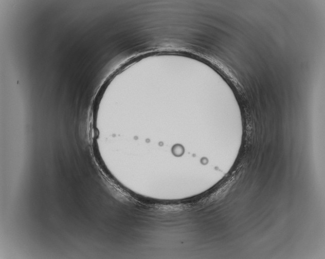 X0000113031126200909171455