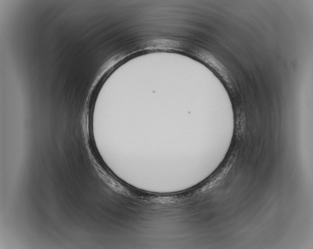 X0000113031130200909171455