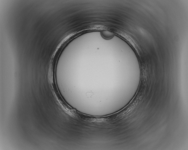 X0000113031131200909171456