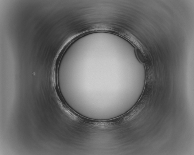 X0000113031132200909171456