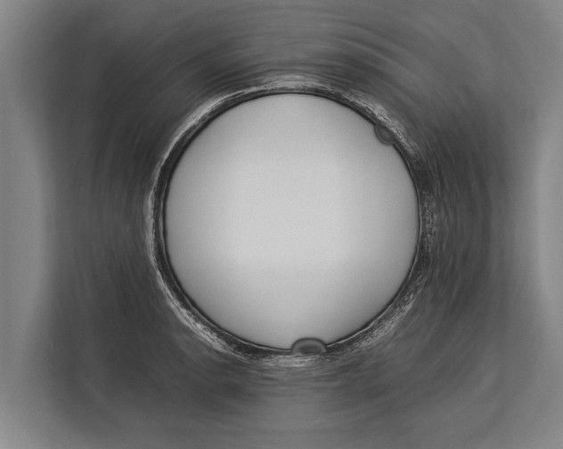 X0000113031134200909171456