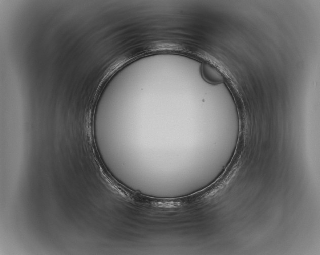 X0000113031137200909171456