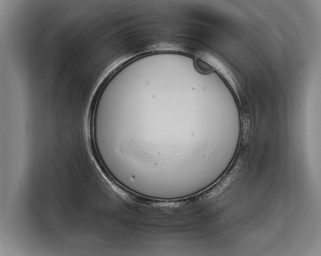 X0000113031141200909171456