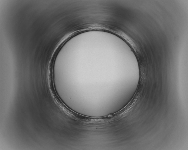 X0000113031142200909171456