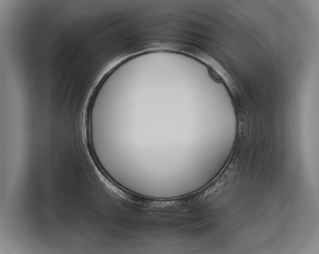 X0000113031143200909171456