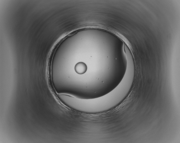 X0000113031144200909171456