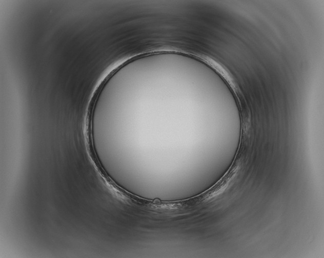 X0000113031149200909171456