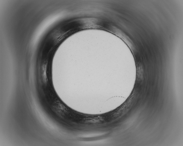 X0000113031150200909171456