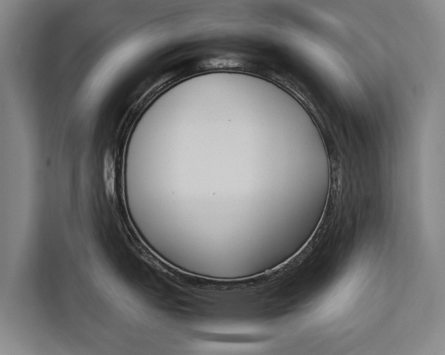 X0000113031151200909171456