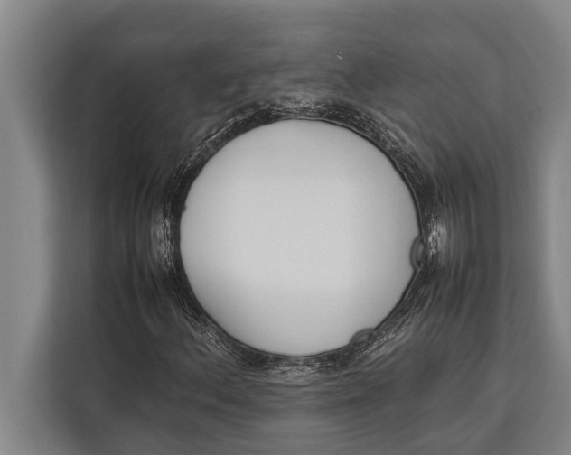 X0000113031156200909171455