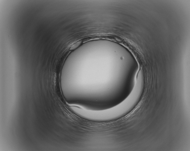 X0000113031161200909171455