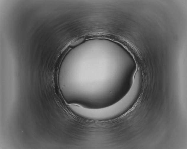 X0000113031162200909171455