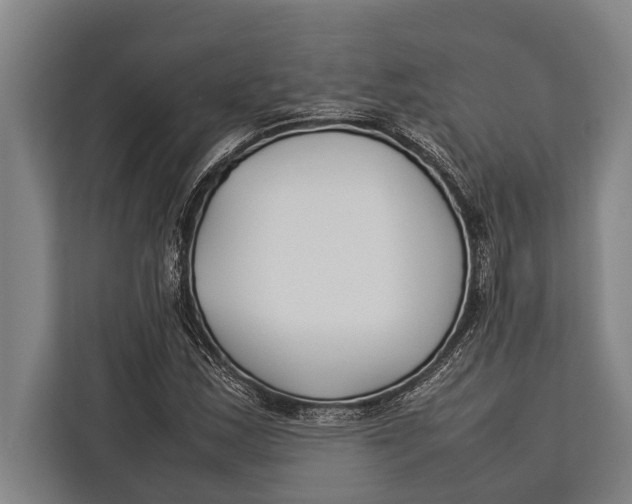 X0000113031163200909171455