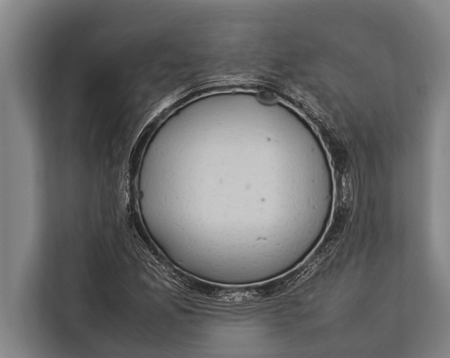 X0000113031165200909171455