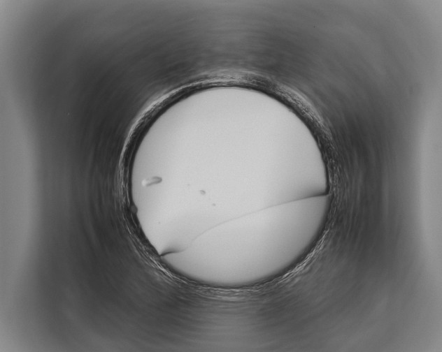 X0000113031172200909171455