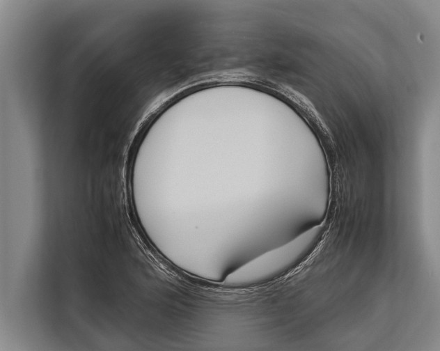 X0000113031176200909171455