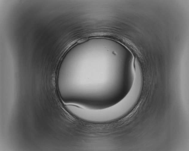 X0000113031177200909171455