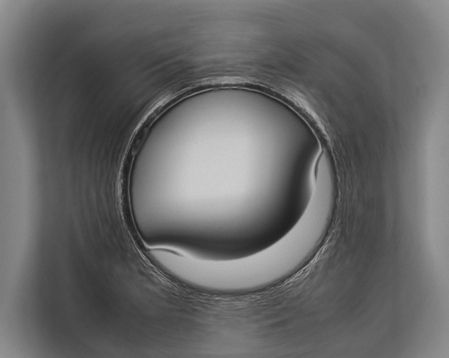 X0000113031181200909171455