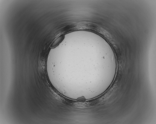 X0000113031185200909171455