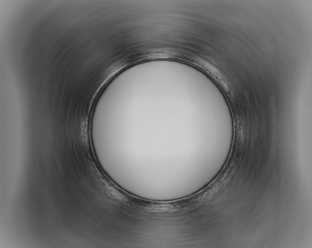 X0000113031186200909171455