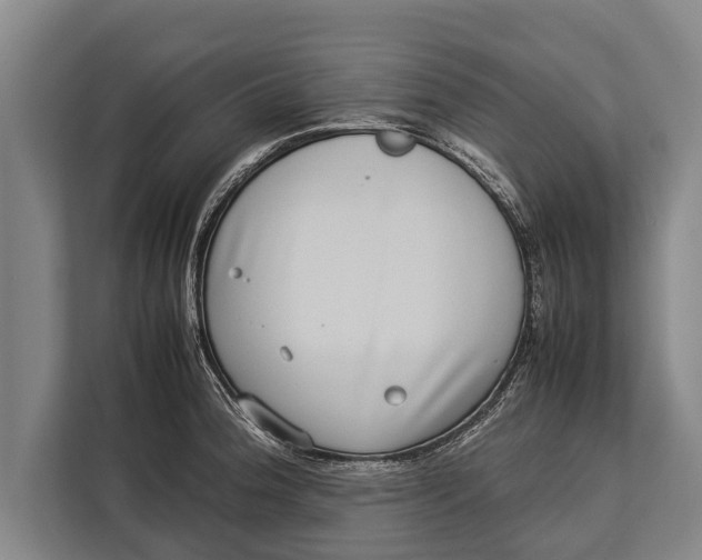 X0000113031188200909171455