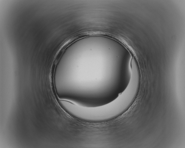 X0000113031189200909171455