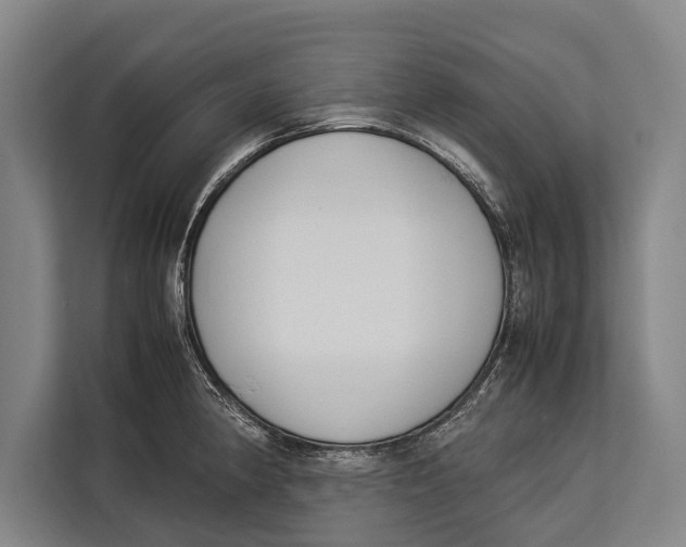 X0000113031190200909171455