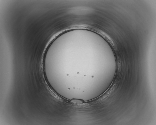 X0000113031192200909171455