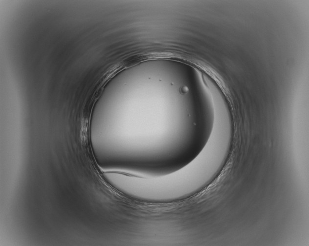 X0000113031193200909171455