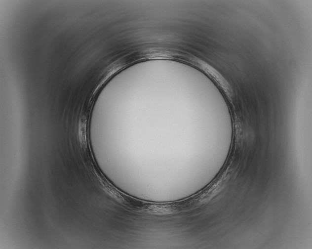 X0000113031194200909171455