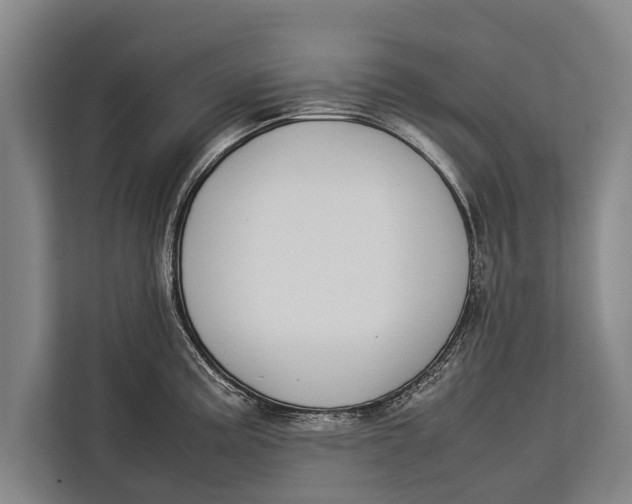 X0000113031195200909171455