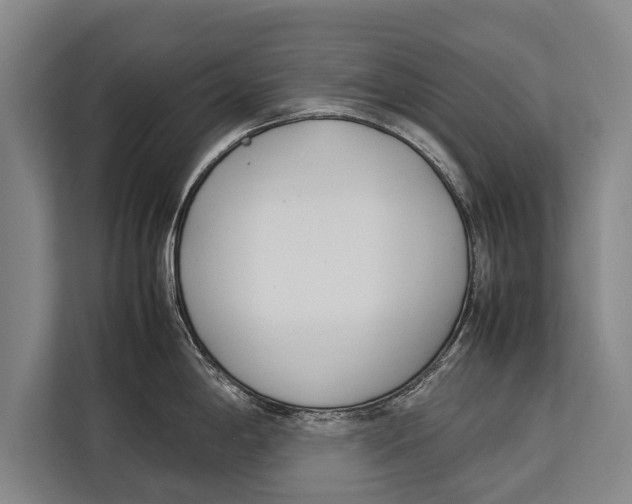 X0000113031198200909171455