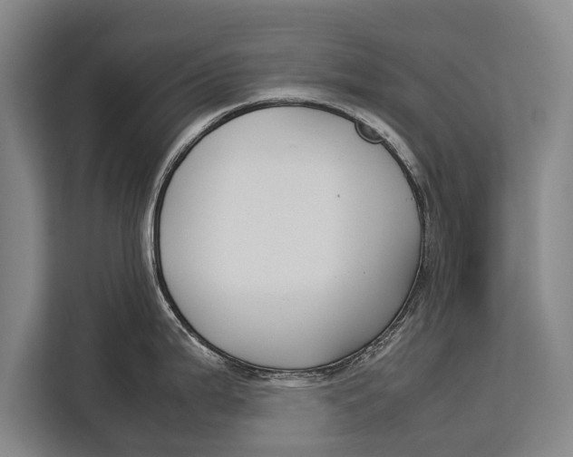 X0000113031199200909171455