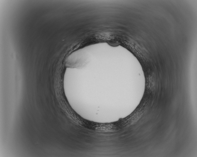 X0000113031201200909171454