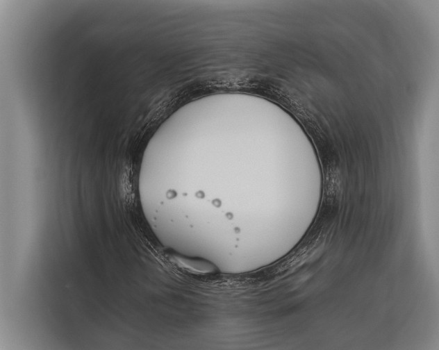 X0000113031202200909171454