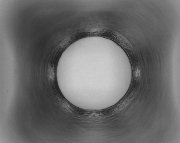 X0000113031204200909171454